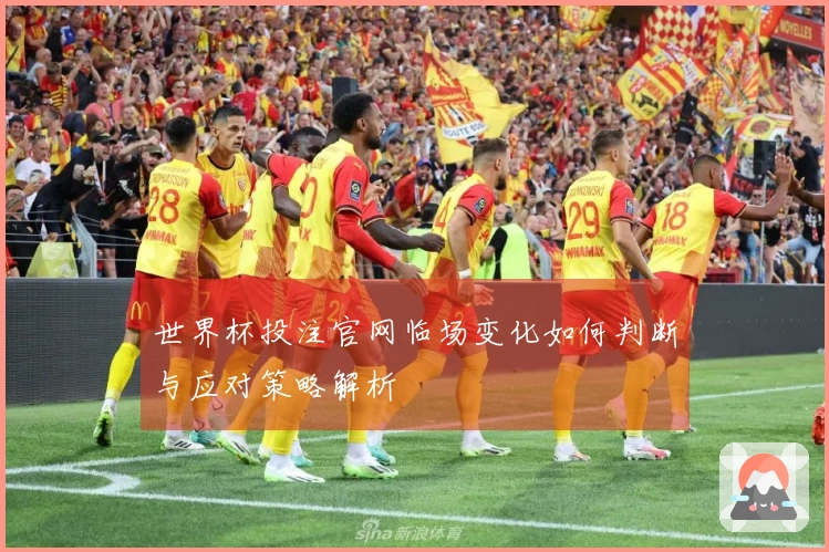 世界杯投注官网临场变化如何判断与应对策略解析
