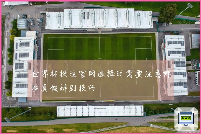世界杯投注官网选择时需要注意哪些真假辨别技巧