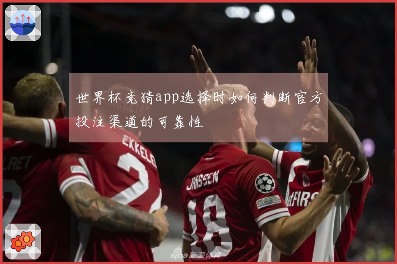 世界杯竞猜app选择时如何判断官方投注渠道的可靠性
