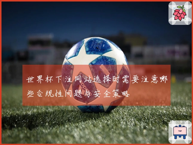 世界杯下注网站选择时需要注意哪些合规性问题与安全策略