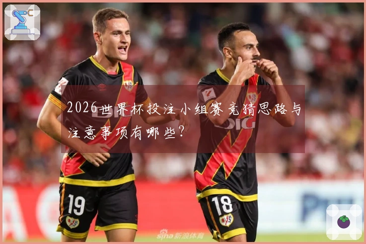 2026世界杯投注小组赛竞猜思路与注意事项有哪些？