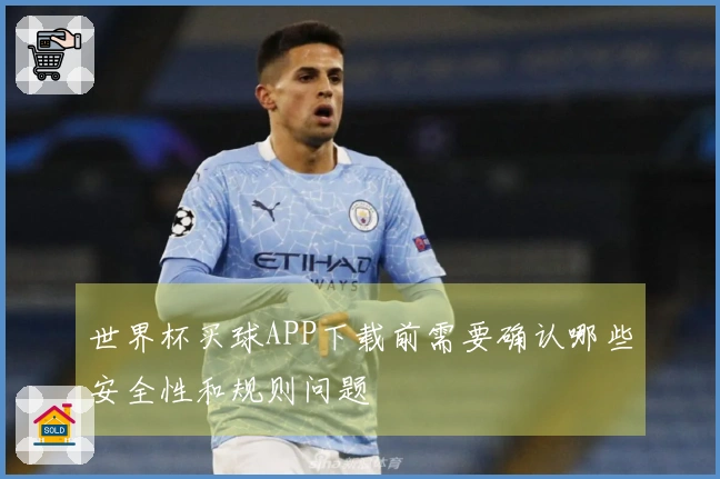 世界杯买球APP下载前需要确认哪些安全性和规则问题