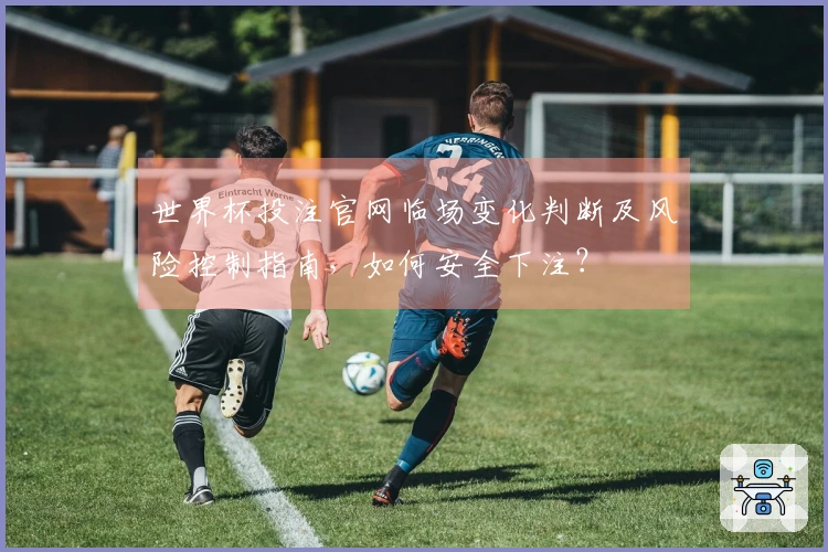 世界杯投注官网临场变化判断及风险控制指南，如何安全下注？