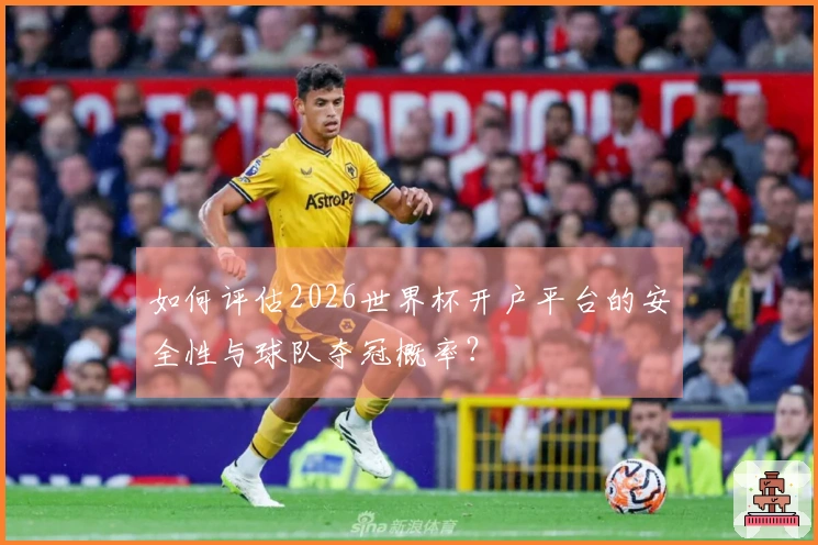 如何评估2026世界杯开户平台的安全性与球队夺冠概率？