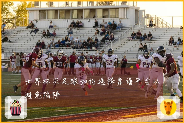 世界杯买足球如何选择靠谱平台以避免陷阱