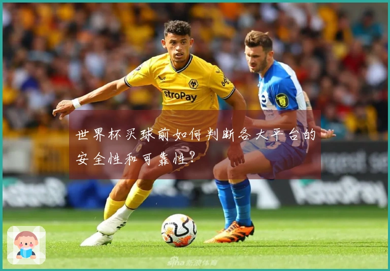 世界杯买球前如何判断各大平台的安全性和可靠性？