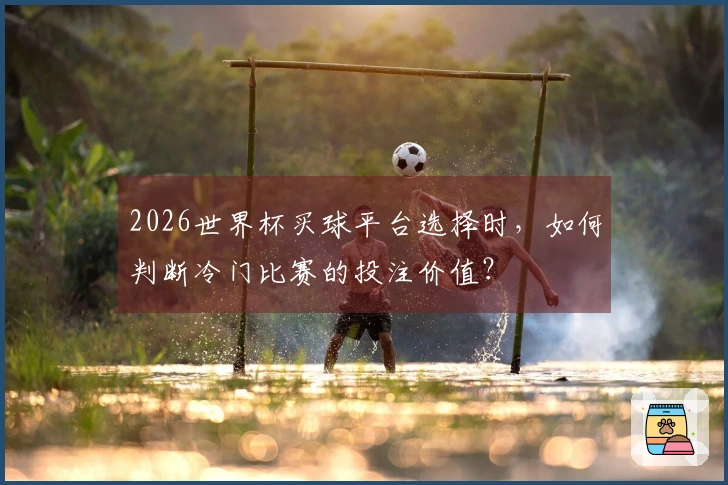 2026世界杯买球平台选择时，如何判断冷门比赛的投注价值？