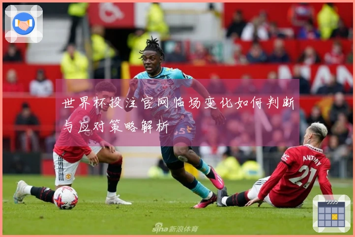 世界杯投注官网临场变化如何判断与应对策略解析