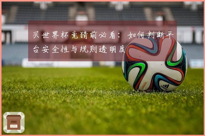 买世界杯竞猜前必看：如何判断平台安全性与规则透明度