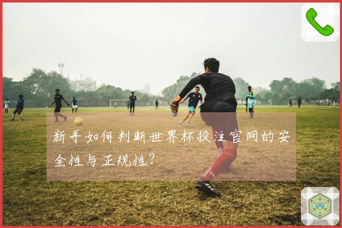 新手如何判断世界杯投注官网的安全性与正规性？