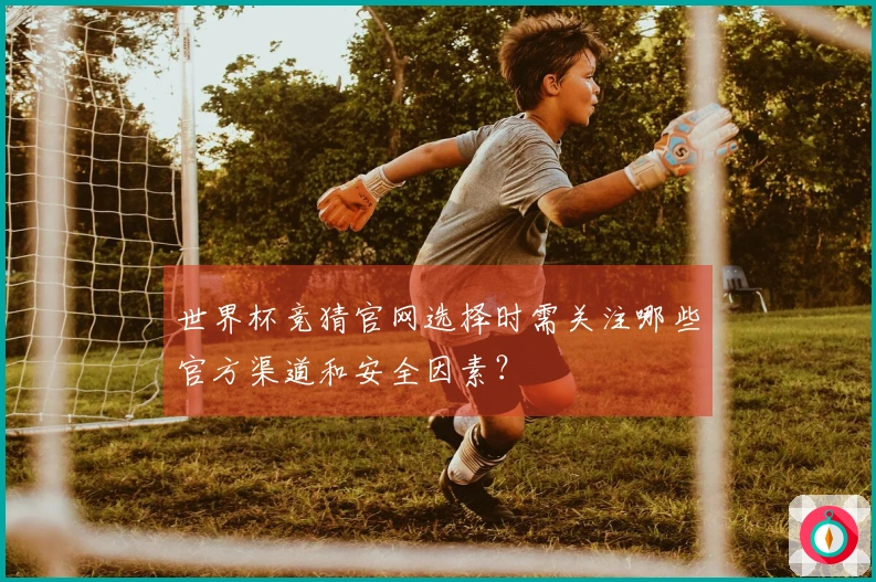 世界杯竞猜官网选择时需关注哪些官方渠道和安全因素？