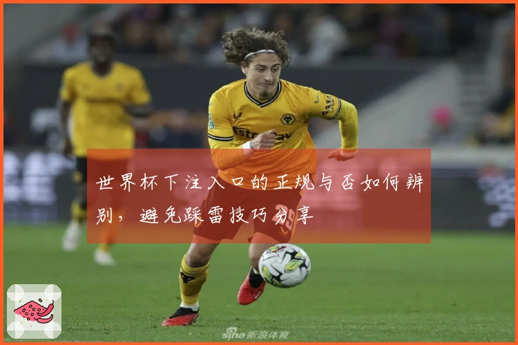 世界杯下注入口的正规与否如何辨别，避免踩雷技巧分享