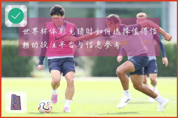 世界杯体彩竞猜时如何选择值得信赖的投注平台与信息参考