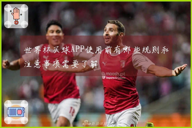 世界杯买球APP使用前有哪些规则和注意事项需要了解