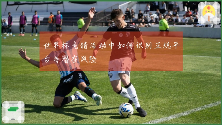 世界杯竞猜活动中如何识别正规平台与潜在风险