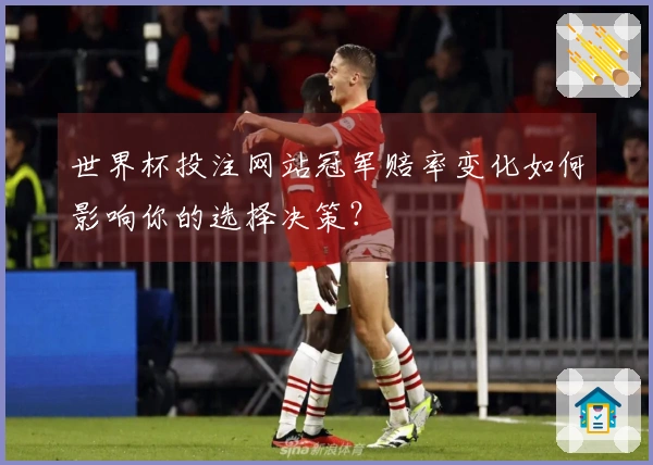 世界杯投注网站冠军赔率变化如何影响你的选择决策？